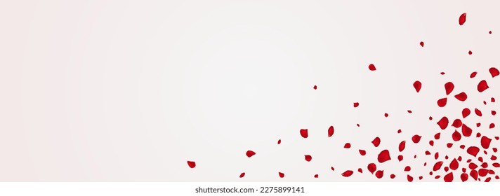 Pink Blossom Tender Vector Panoramic White Background. Falling Flower Design. Delicate Lotus Flying Wallpaper. Beautiful Rose Blur Frame.