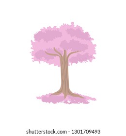 Pink blossom tree isolated on white background. Cherry blooming tree for your design.