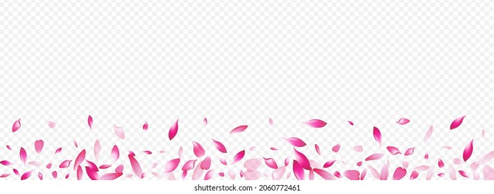 Pink Blossom Vector Panoramic Transparent Background. Peach Flying Card. Tree Romantic Texture. Heart Japanese Banner. Red Confetti Graphic Template.