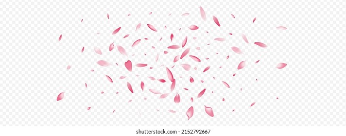 Pink Blossom Vector Panoramic Transparent Background. Tree Overlay Poster. Cherry Romance Banner. Rose Sky Template. Red Leaf Marriage Cover.