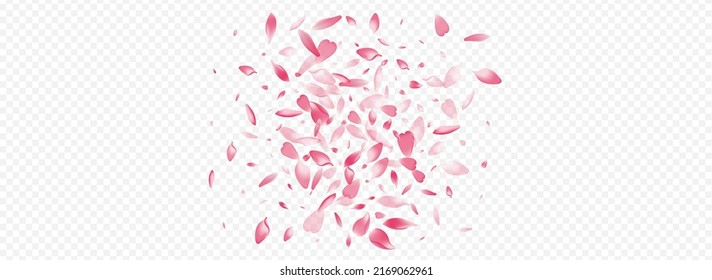 rosafarbener Blossom-Vektorgrafik, transparenter Hintergrund. Herry 3d Muster. Blumenabdeckung einzeln. Pfirsichrealistische Textur. Light Apfelblume Card.