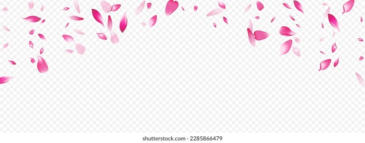 Pink Blossom Vector Panoramic Transparent Background. Confetti Dream Cover. Flower Japanese Illustration. Leaf March Poster. Light Bloom Sky Banner.