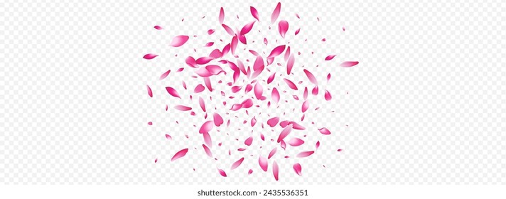 Pink Blossom Vector Panoramic Transparent Background. Apple Fly Design. Rosa Springtime Cover. Floral Graphic Illustration. Bright Rose Beauty Card.
