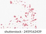 Pink Blossom Vector Transparent Background. Blooming Marriage Backdrop. Leaf Blur Card. Petal Wallpaper Pattern. White Sakura Beauty Illustration.