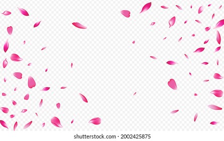 Pink Blossom Vector Transparent Background. Flower Soft Banner. Sakura Marriage Illustration. Apple Free Backdrop. White Leaf Spa Design.