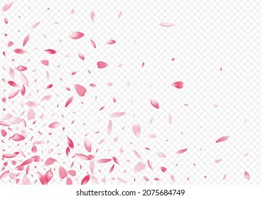 Pink Blossom Vector Transparent Background. Tree Spring Card. Floral Falling Design. Rosa Air Backdrop. Bright Cherry Japanese Template.