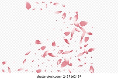 Pink Blossom Vector Transparent Background. Blooming Marriage Backdrop. Leaf Blur Card. Petal Wallpaper Pattern. White Sakura Beauty Illustration.