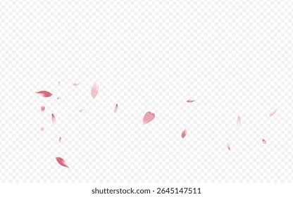 Pink Blossom Vector Transparent Background. Blooming Nature Banner. Flower Fly Congratulation. Sakura Down Texture. White Lotus Invitation Card.