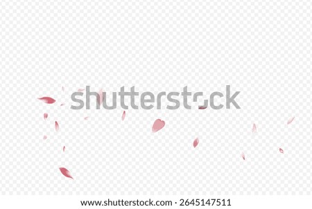 Pink Blossom Vector Transparent Background. Blooming Nature Banner. Flower Fly Congratulation. Sakura Down Texture. White Lotus Invitation Card.