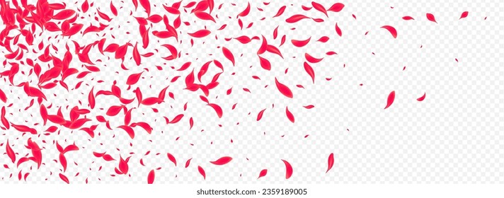 Pink Blossom Vector Transparent Panoramic Background. Tender Cherry Cover. Delicate Rose Beauty Design. Beautiful Japanese Peach Illustration.