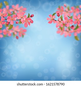 Pink blossoming cherry branches with bokeh effect