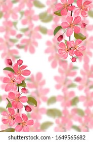 Pink blossoming cherry branches with bokeh effect background