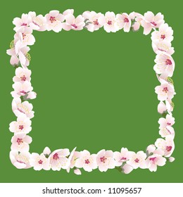 Pink blossoming frame