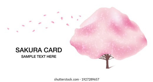 Pink blossoming spring japanese sakura cherry tree vector illustration