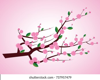 Pink blossoms on branches - vector