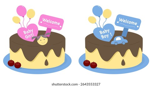 Pink and Blue Cake for Gender Reveal Party