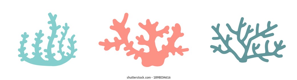 Pink and blue corals on a white background. Vector hand-drawn color illustration of corals. Sea. Ocean