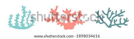 Pink and blue corals on a white background. Vector hand-drawn color illustration of corals. Sea. Ocean