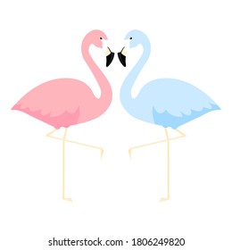 Pink and blue flamingos love concept. Couple of two cute flamingo vector illustration isolated on white