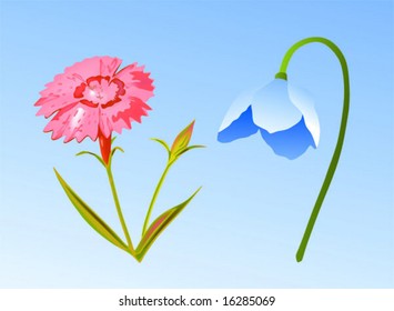 pink and blue flowers