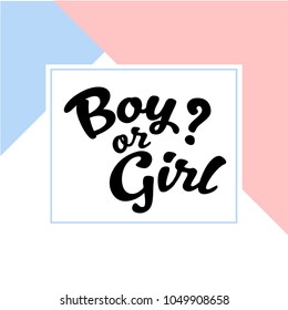 Pink and Blue Gender Reveal Invitation. Boy or girl? - Shutterstock ID 1049908658