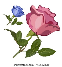 Pink and blue rose. Vector illustration.