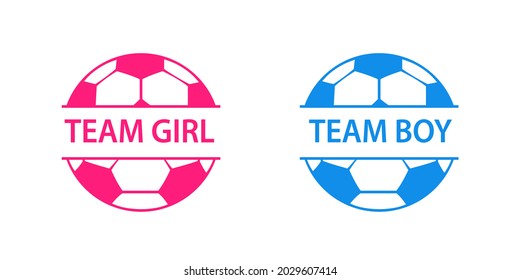 Pink and blue split soccer ball gender reveal icon. Clipart image isolated on white background