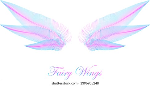 Pink and Blue Wings - Magic Elfin Wings - Concept Vector Design Isolated on White
