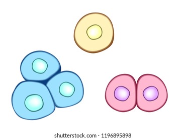 pink blue yellow cell icon . skin cell . vector