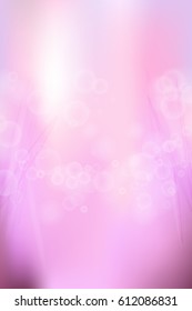 Pink Bokeh Background
