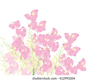 Flores de buganvilla rosa para objeto o fondo