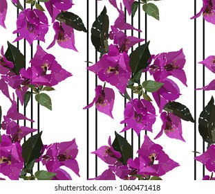 Pink bougainvillea seamless pattern. Botanical illustration hand drawn. Vector floral design for fashion prints, scrapbook, wrapping paper.