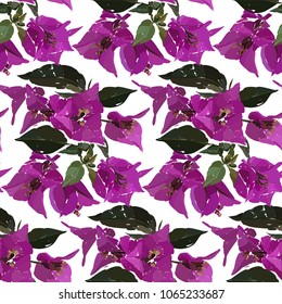 Pink bougainvillea seamless pattern. Botanical illustration hand drawn. Vector floral design for fashion prints, scrapbook, wrapping paper.