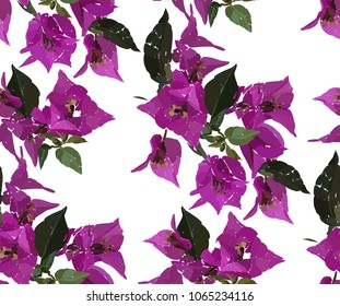Pink bougainvillea seamless pattern on white background . Botanical illustration hand drawn. Vector floral design for fashion prints, scrapbook, wrapping paper.