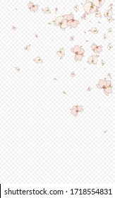 Pink Bouquet Isolated Vector Transparent Background. Art Flower Artwork. White Floral Delicate Illustration. Orchid Exotic Background.