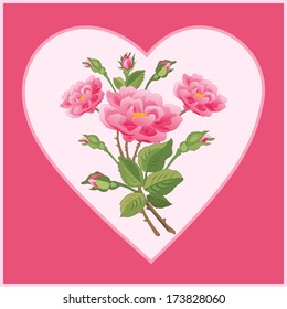 Pink bouquet of roses or peony with buds, stalks and leaves, in heart on a pink background.
