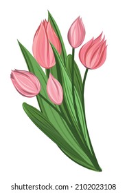Pink bouquet of tulips. Cartoon vector red flower illustration