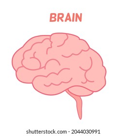 Pink Brain, human brain anatomy concept, easy cartoon 