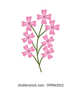 pink branch flowers decoration vector illustration eps 10