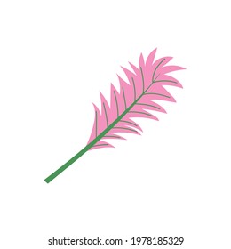 pink branch foliage isolated style