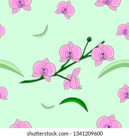 Pink branch of orchid with a green background