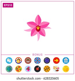 Pink Brazil lily vector icon