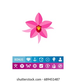 Pink Brazil lily vector icon