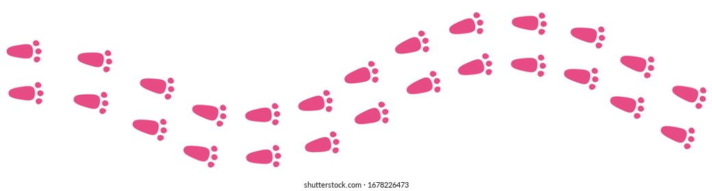 Pink Bunny Tracks Isolated on White for Easter