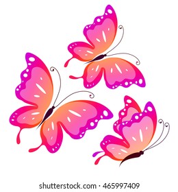 pink butterflies,isolated on a white