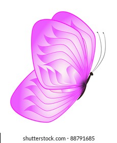 pink butterfly