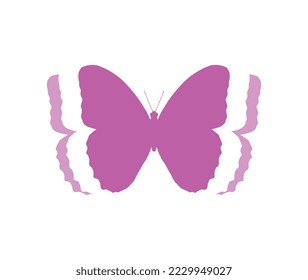 Pink butterfly flapping wings and flying.