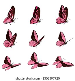 The pink butterfly is flying. Animation is frame by frame.