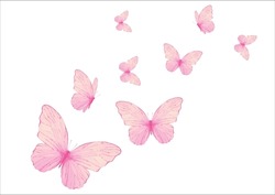 Pink Butterfly Hand Drawn Design Vector