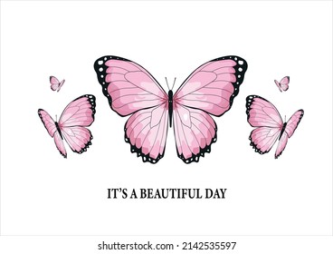 pink butterfly hand drawn design vector
